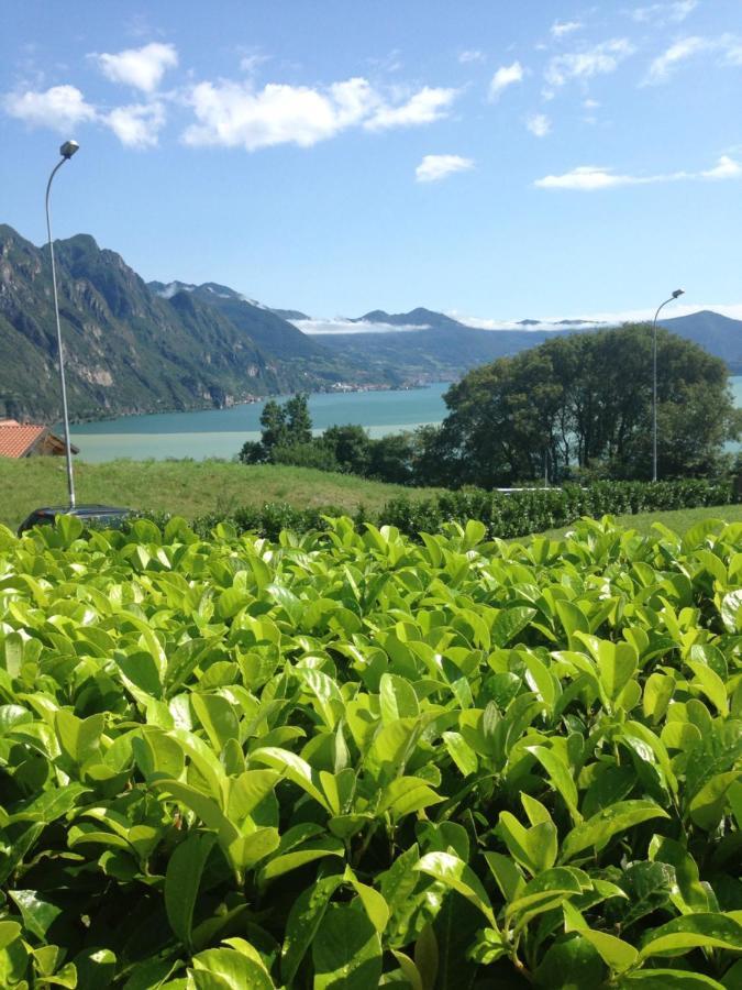 Villa Mirella: Casa Vista Lago Con Piscina Riva di Solto Eksteriør billede